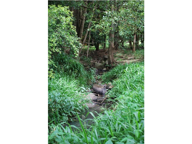 166 McGettigans Lane, Ewingsdale NSW 2481