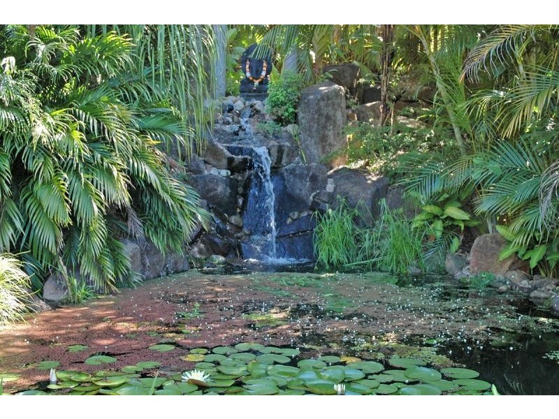 131 Parmenters Road, Wilsons Creek NSW 2482