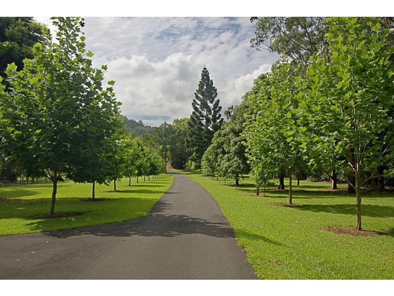 226 Dingo Lane, Byron Bay NSW 2481