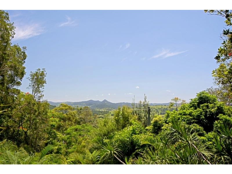 600 Coolamon Scenic Drive, Coorabell NSW 2479