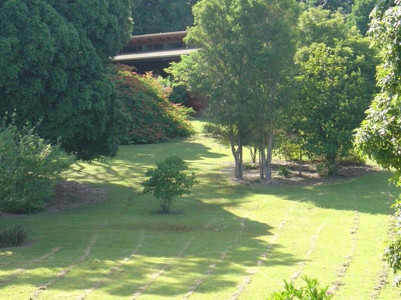 80 Koonyum Range Road, Mullumbimby NSW 2482