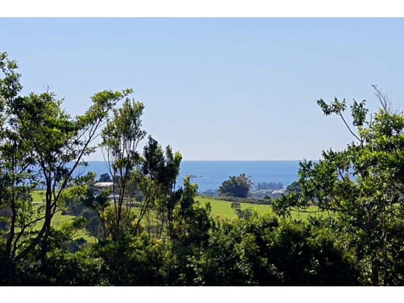 206 Coopers Shoot Road, Coopers Shoot NSW 2479