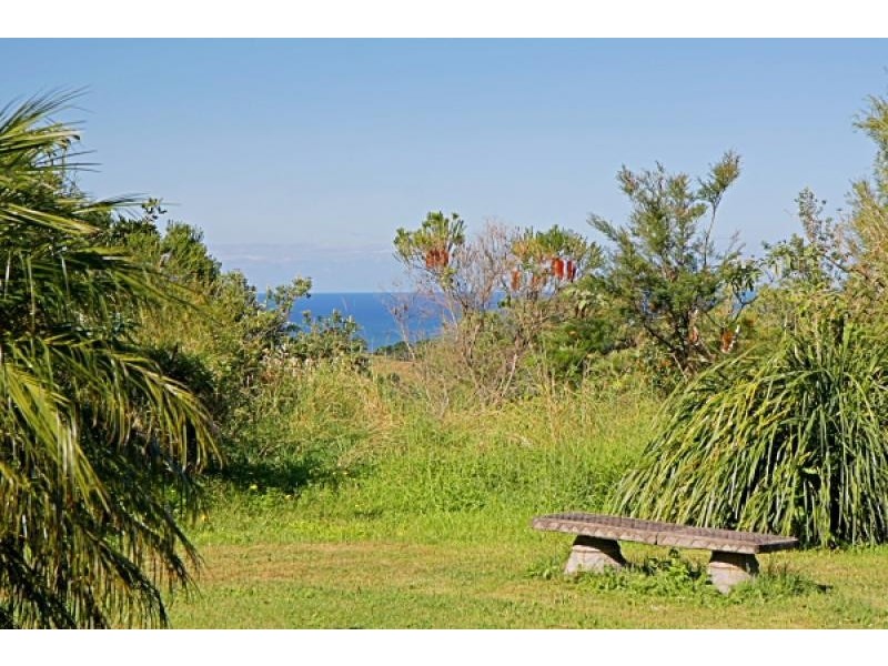 206 Coopers Shoot Road, Coopers Shoot NSW 2479