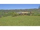 622 Wilsons Creek Road, Wilsons Creek NSW 2482