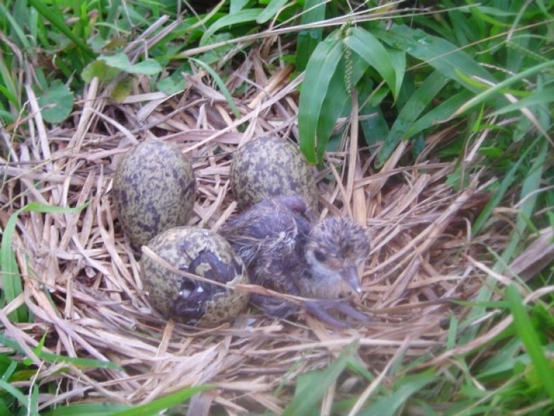 622 Wilsons Creek Road, Wilsons Creek NSW 2482