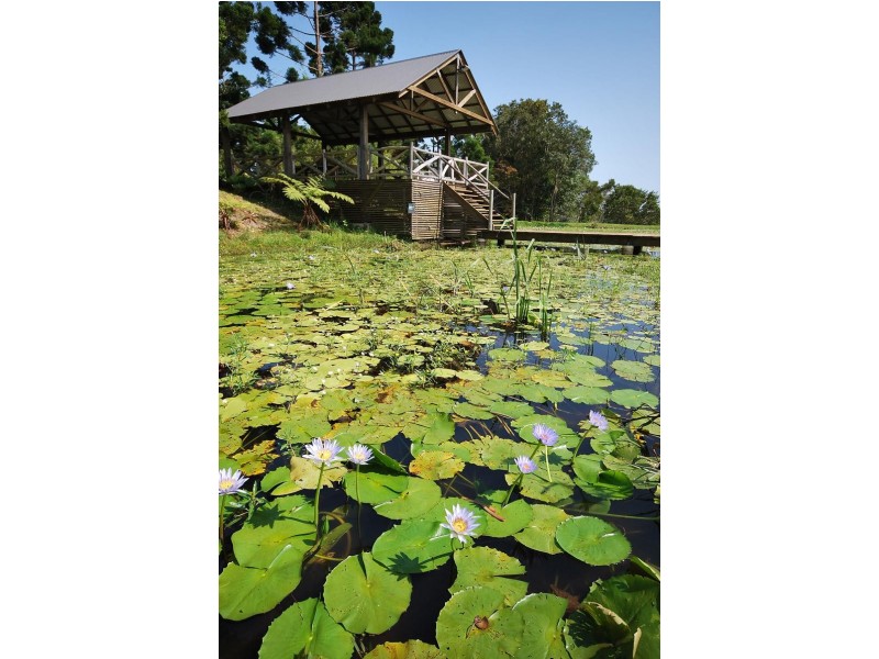 349 St Helena Road, Byron Bay NSW 2481