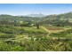625 A Myocum Road, Byron Bay NSW 2481