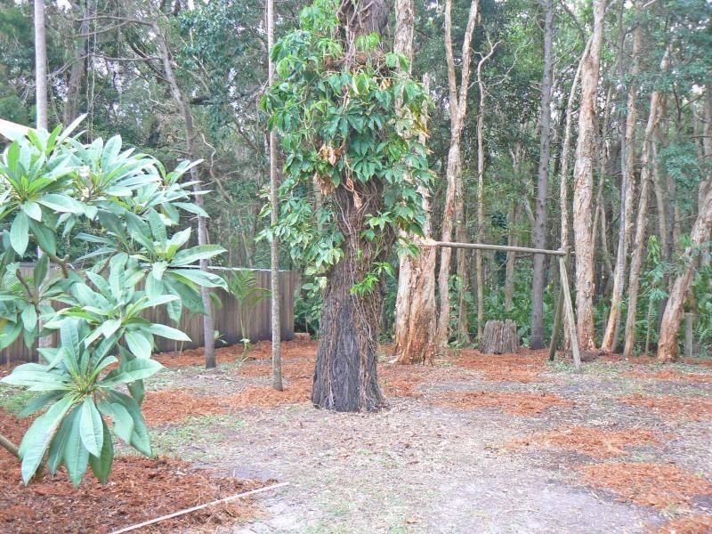 154 BROKEN HEAD ROAD, Byron Bay NSW 2481