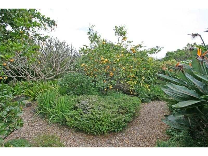 19 Redgum Place, Byron Bay NSW 2481