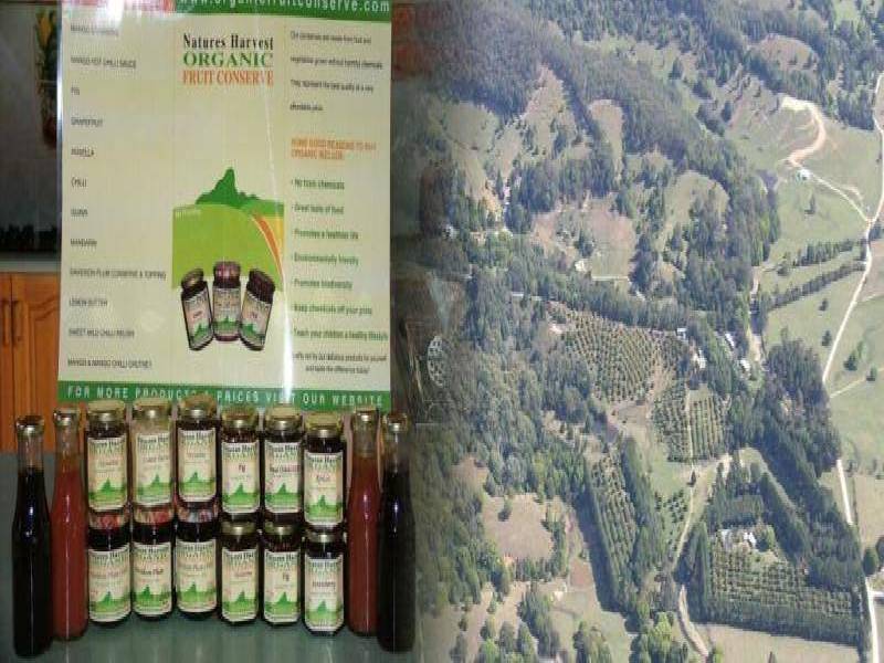 253 PALMVALE ROAD, Palmvale NSW 2484