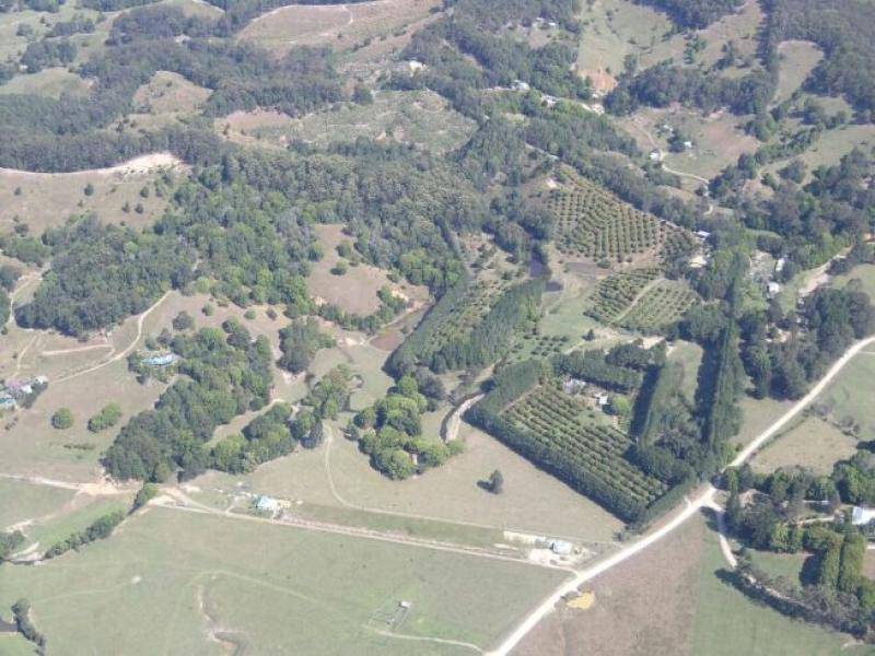 253 PALMVALE ROAD, Palmvale NSW 2484