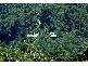47 HAMMOND DRIVE, Clothiers Creek NSW 2484