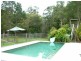 233 Round Mountain Road, Round Mountain NSW 2484