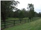 233 Round Mountain Road, Round Mountain NSW 2484