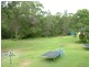 233 Round Mountain Road, Round Mountain NSW 2484