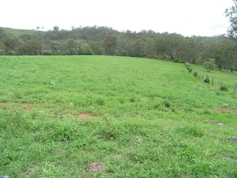Mount Hunter NSW 2570