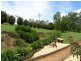 Orangeville NSW 2570