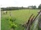 Oakdale NSW 2570