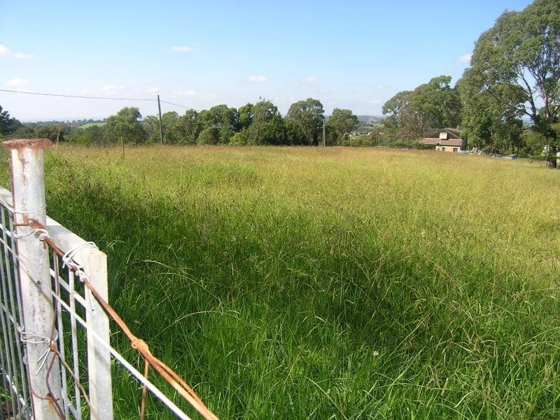 The Oaks NSW 2570