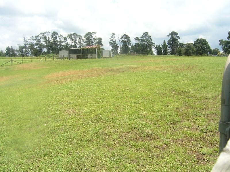 Orangeville NSW 2570