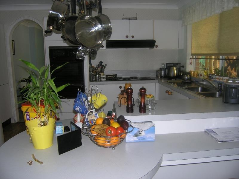 6 THURN PLACE, Elderslie NSW 2570