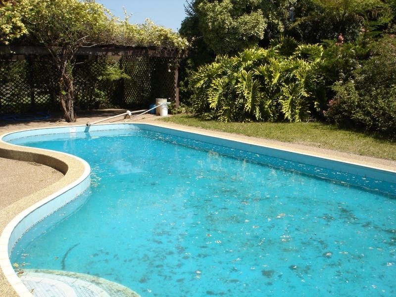 155 Steveys Forest Road, Oakdale NSW 2570