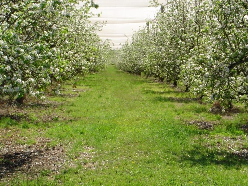 155 Steveys Forest Road, Oakdale NSW 2570