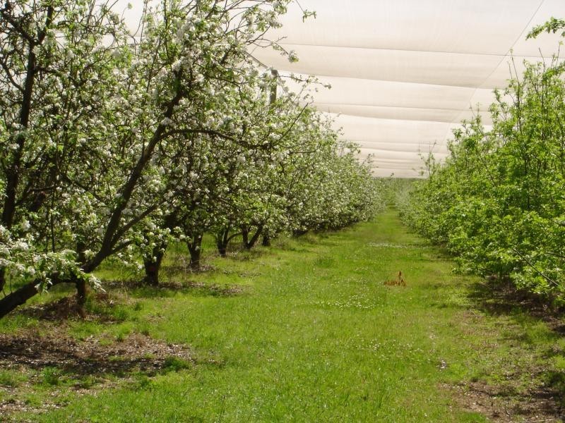 155 Steveys Forest Road, Oakdale NSW 2570