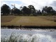 Bringelly NSW 2556