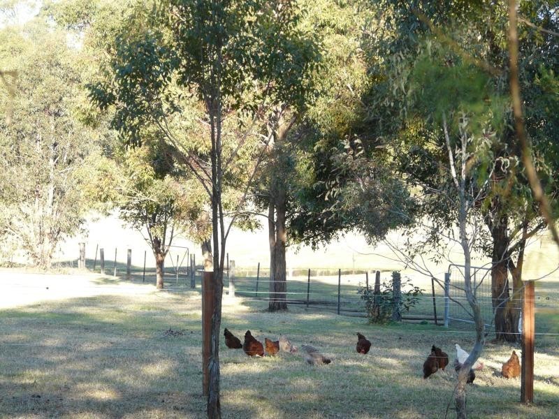 20 Lerida Avenue, Camden NSW 2570