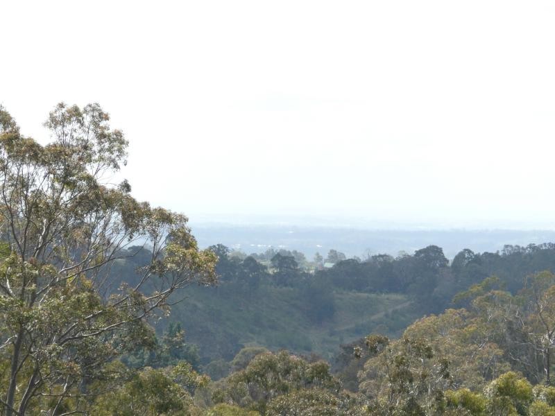 Orangeville NSW 2570