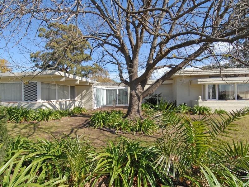 53 Hacking Drive, Narellan Vale NSW 2567