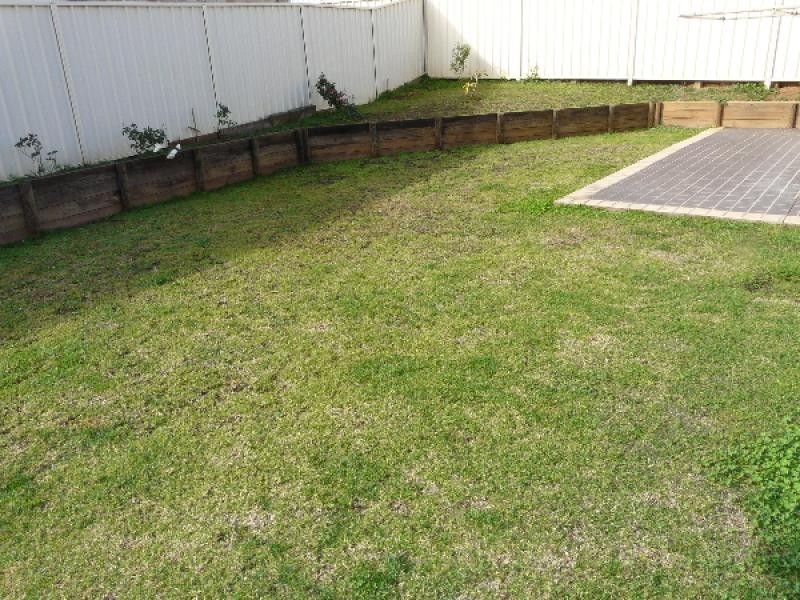 66 Waterworth Drive, Narellan Vale NSW 2567