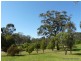31 Ulmarra Avenue, Camden NSW 2570