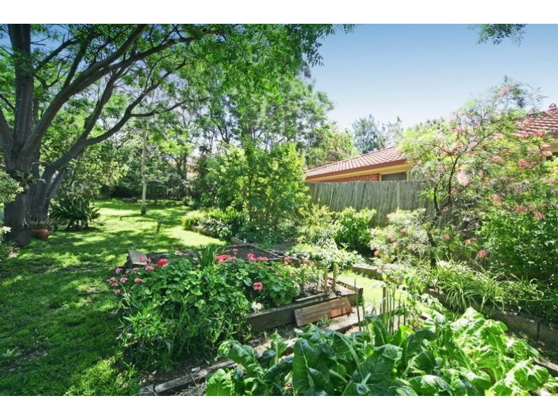 42 O’Dea Road, Mount Annan NSW 2567