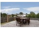 19 Macarthur Circuit, Camden Park NSW 2570