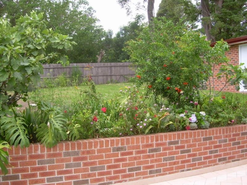 31 Douglas Avenue, Chatswood NSW 2067