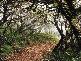 POINTLOOKOUT ROAD, POINTLOOKOUT, Dorrigo NSW 2453