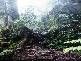 POINTLOOKOUT ROAD, POINTLOOKOUT, Dorrigo NSW 2453