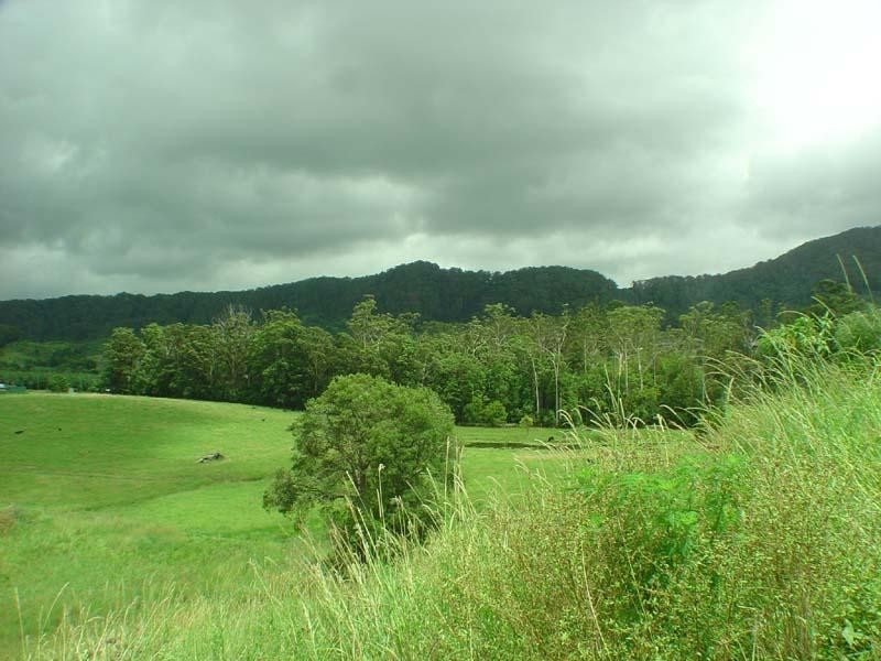 23 Ceanothus Close, Coffs Harbour NSW 2450
