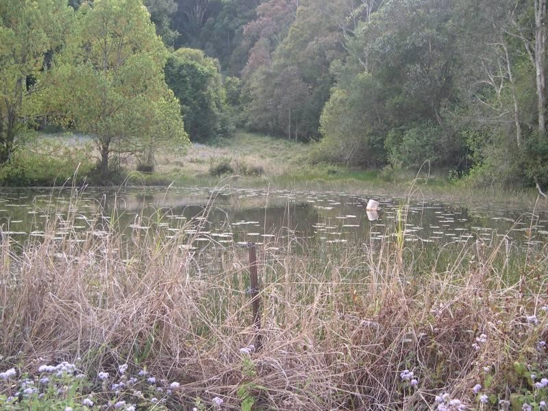 80 c Moodys Road, Coffs Harbour NSW 2450