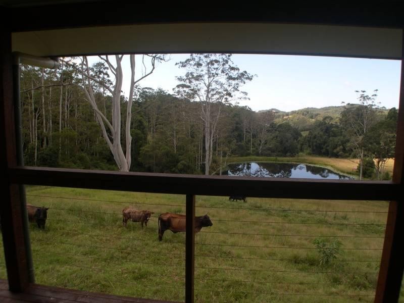 198 Mount Browne, Upper Orara, Coffs Harbour NSW 2450