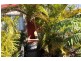 71 Pearce Drive, Coffs Harbour NSW 2450