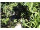 71 Pearce Drive, Coffs Harbour NSW 2450