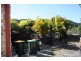 71 Pearce Drive, Coffs Harbour NSW 2450