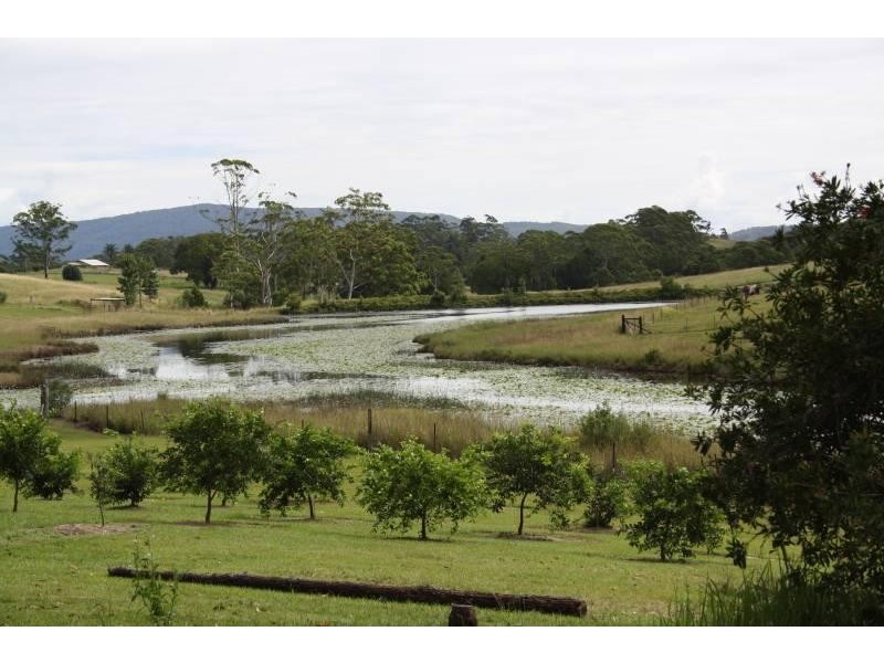 218 Mardells Road, Central Bucca, Coffs Harbour NSW 2450