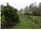 218 Mardells Road, Central Bucca, Coffs Harbour NSW 2450