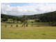 1104 Tallawudjah Creek Road, Glenreagh, Coffs Harbour NSW 2450