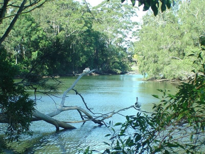 50 Moller Drive, Sawtell NSW 2452