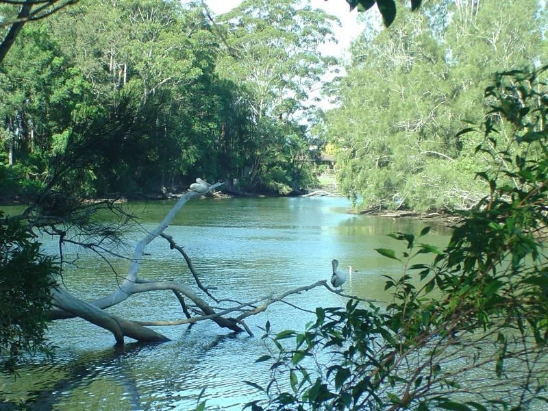 50 Moller Drive, Sawtell NSW 2452